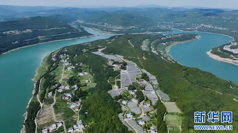 bob半岛官网平台乡味丨四川苍溪红心猕猴桃的“三级跳”(图3)