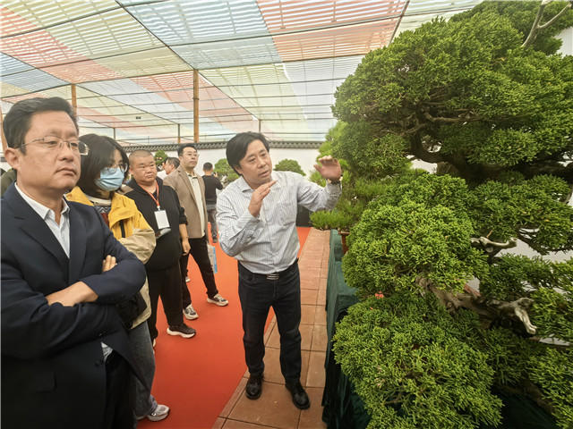 以节会友、以苗聚商BOB半岛！第十九届泰山苗木花卉交易会开幕(图3)