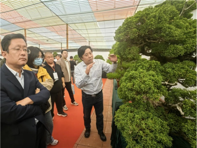 第十九届泰山苗木花卉BOB半岛交易会开幕(图3)