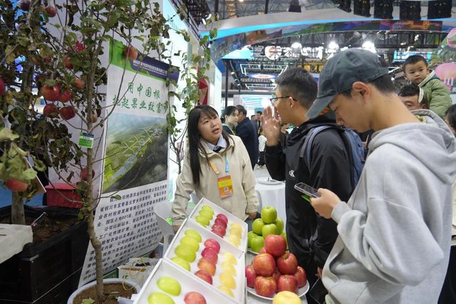 bob半岛体育铜川宜君苹果苗木种到全国各地(图3)