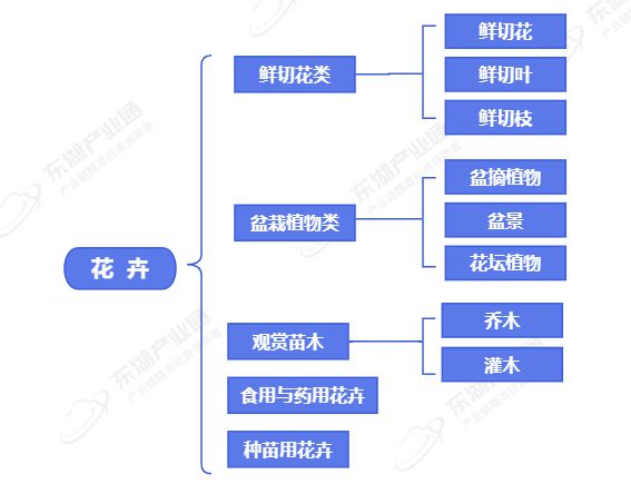 “鲜花经济”绽bob半岛官网活力花卉苗木激活千亿产业链(图2)