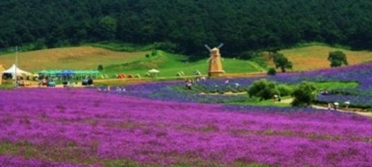 bob半岛官网沈阳十大最美景点(图9)