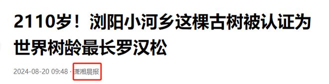 真“摇钱树”来了一株要卖上百万？bob半岛官网广东人：有了它一世不怕穷(图19)